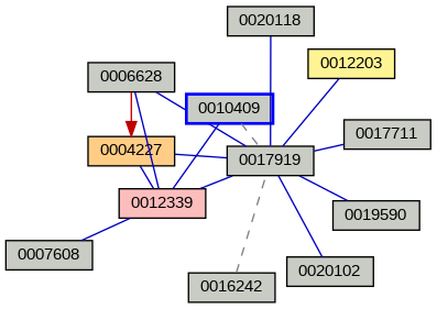 Relationship Graph