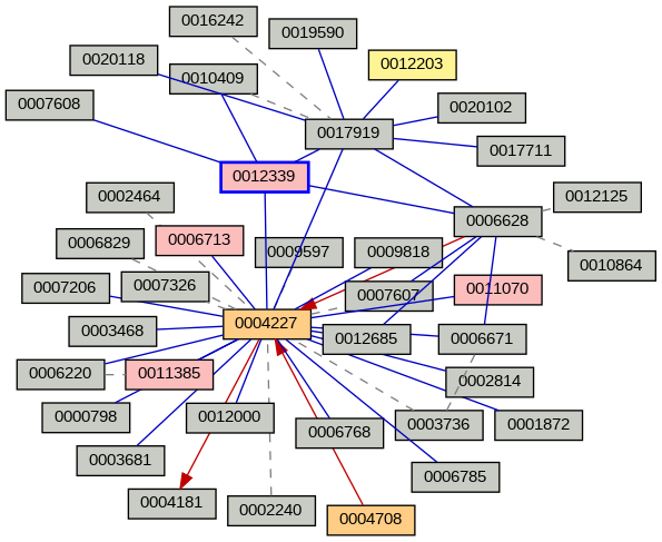 Relationship Graph