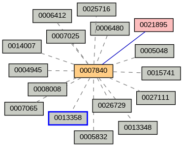Relationship Graph