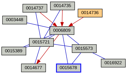 Relationship Graph