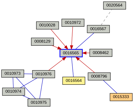 Relationship Graph