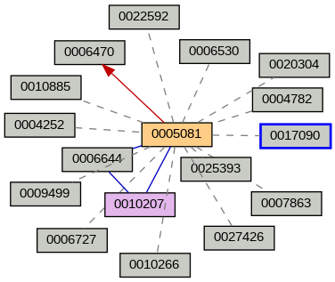 Relationship Graph