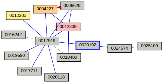 Relationship Graph