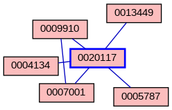 Relationship Graph