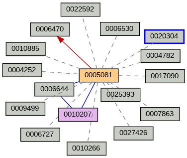 Relationship Graph