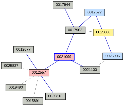 Relationship Graph