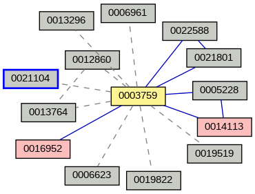 Relationship Graph