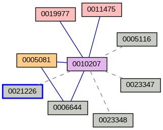Relationship Graph