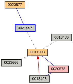 Relationship Graph