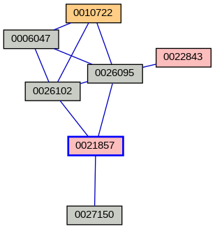 Relationship Graph