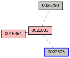 Relationship Graph