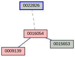 Relationship Graph