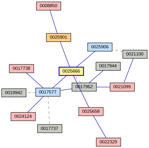 Relationship Graph