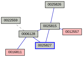 Relationship Graph