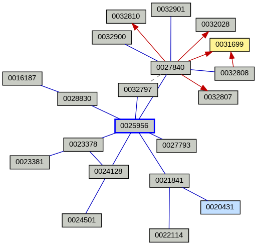 Relationship Graph