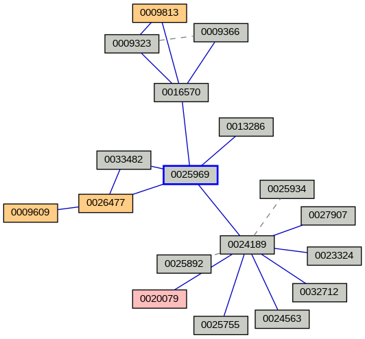 Relationship Graph