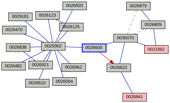 Relationship Graph