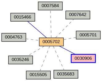 Relationship Graph