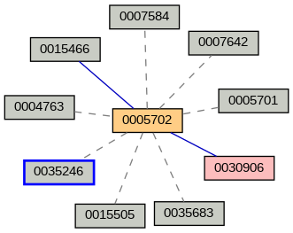Relationship Graph