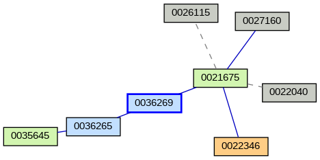 Relationship Graph