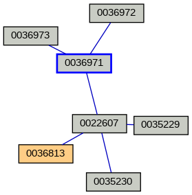 Relationship Graph