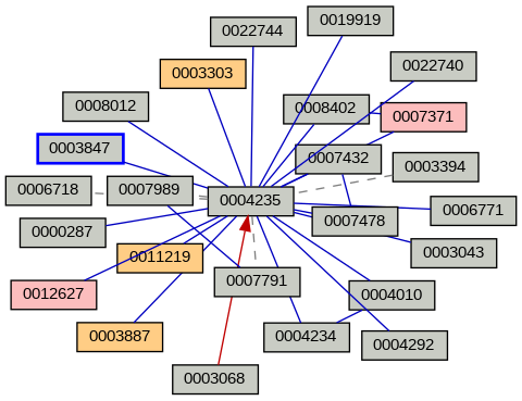 Relationship Graph