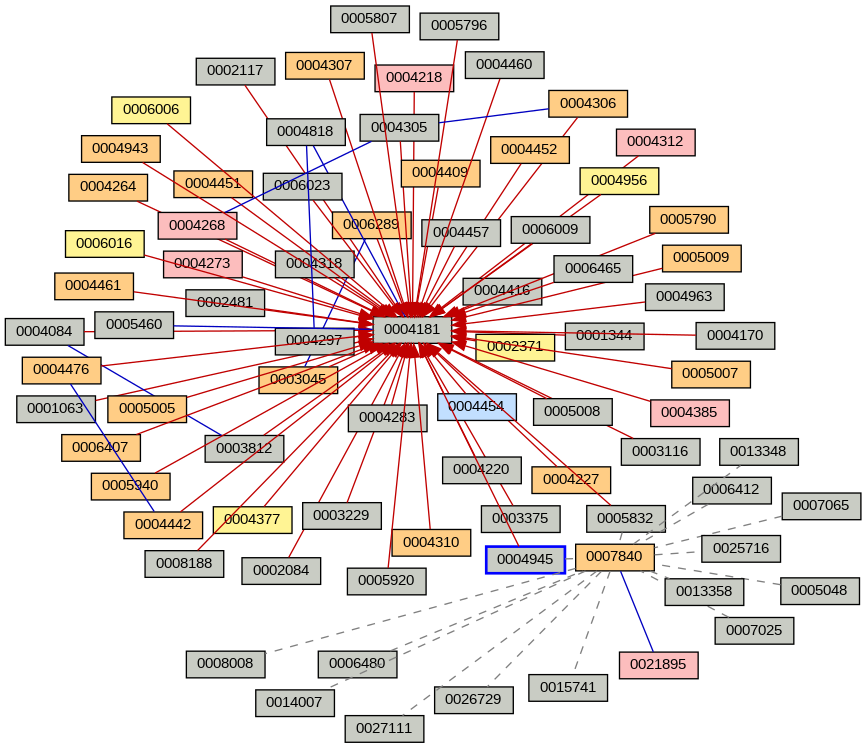 Relationship Graph