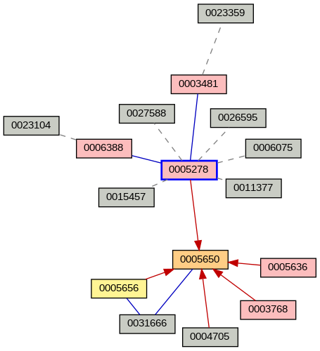 Relationship Graph