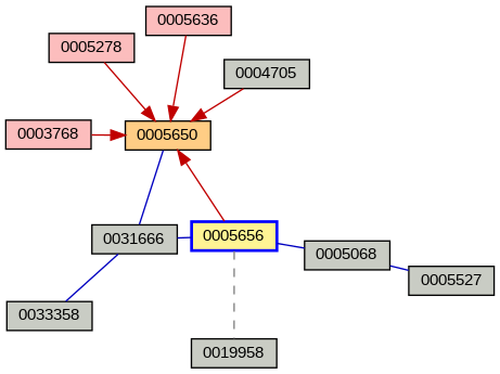 Relationship Graph