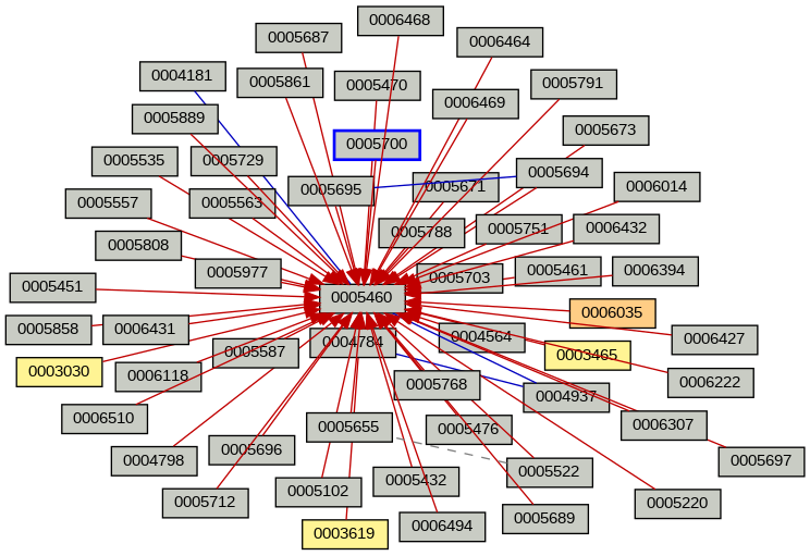 Relationship Graph