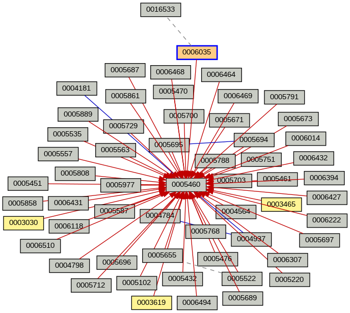 Relationship Graph