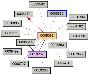 Relationship Graph