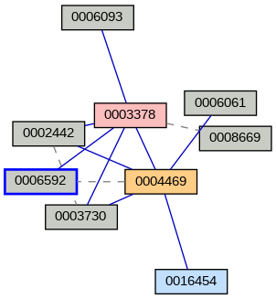 Relationship Graph