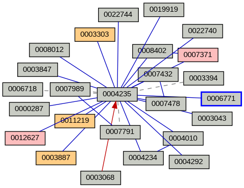 Relationship Graph