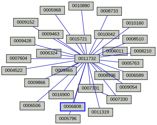 Relationship Graph