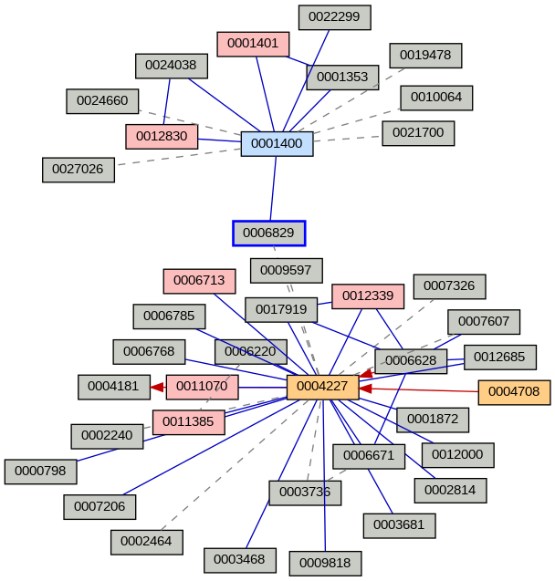 Relationship Graph