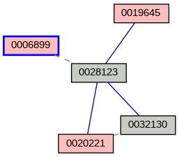 Relationship Graph