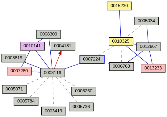 Relationship Graph