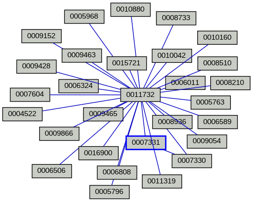 Relationship Graph