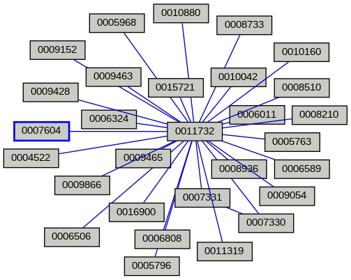 Relationship Graph