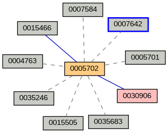Relationship Graph