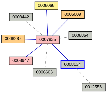 Relationship Graph