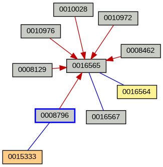 Relationship Graph