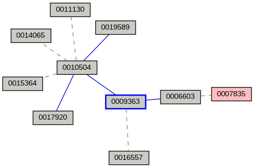 Relationship Graph