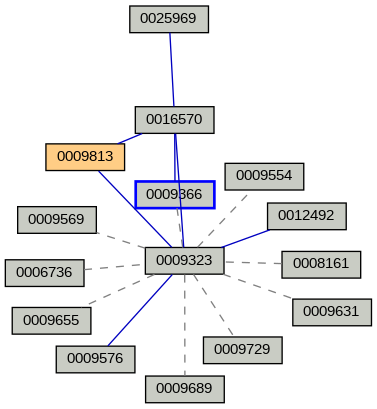 Relationship Graph
