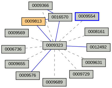 Relationship Graph