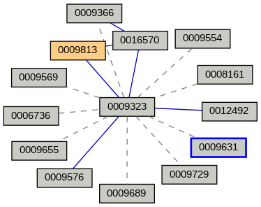 Relationship Graph
