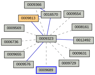 Relationship Graph