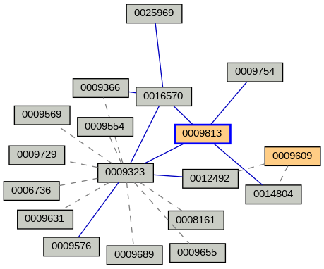 Relationship Graph