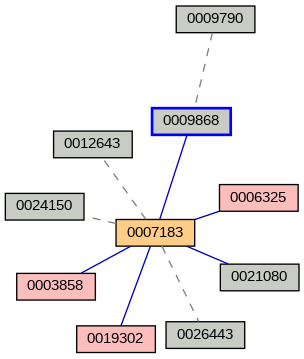 Relationship Graph